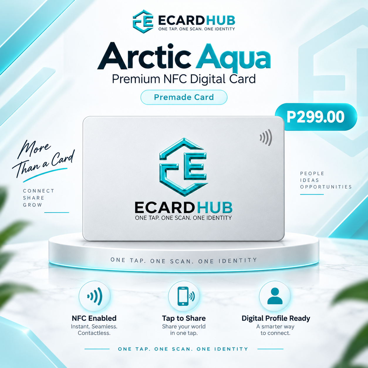 PREMIUM PREMADE ECARDS - ARCTIC AQUA